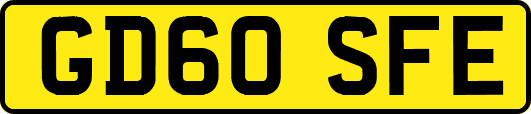 GD60SFE