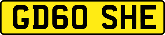 GD60SHE