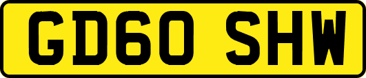 GD60SHW