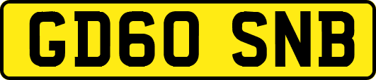 GD60SNB