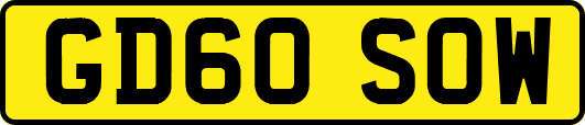 GD60SOW