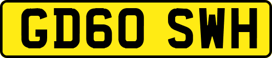 GD60SWH
