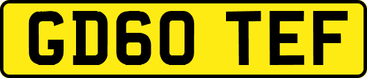 GD60TEF