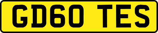 GD60TES