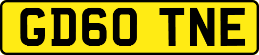GD60TNE