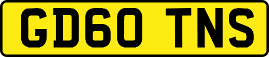 GD60TNS
