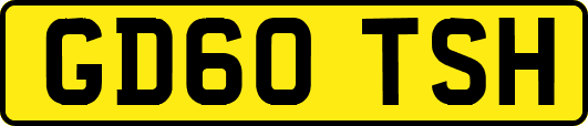 GD60TSH