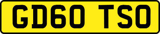 GD60TSO