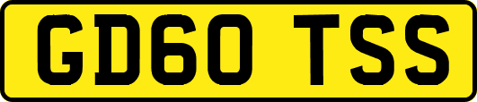 GD60TSS