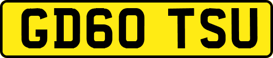GD60TSU