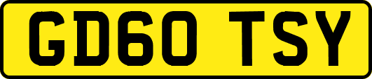 GD60TSY