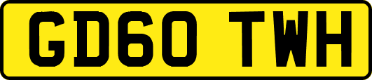 GD60TWH