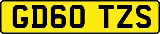GD60TZS