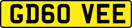 GD60VEE