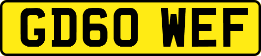 GD60WEF