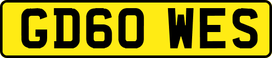 GD60WES