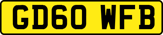 GD60WFB