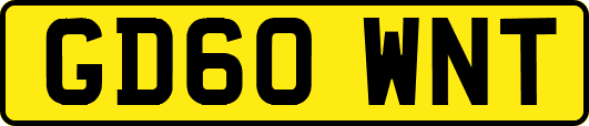 GD60WNT