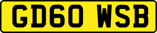 GD60WSB