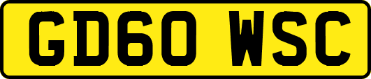 GD60WSC