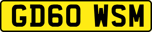 GD60WSM