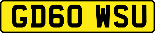GD60WSU
