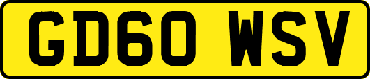 GD60WSV