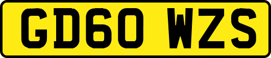 GD60WZS