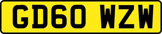 GD60WZW