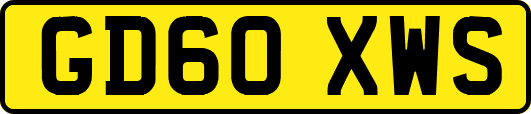 GD60XWS