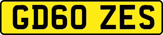 GD60ZES