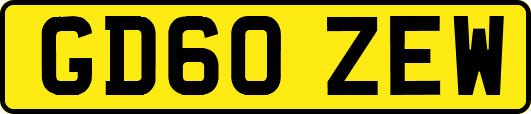 GD60ZEW