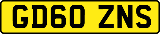 GD60ZNS
