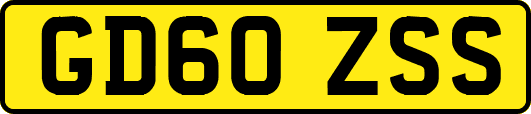 GD60ZSS