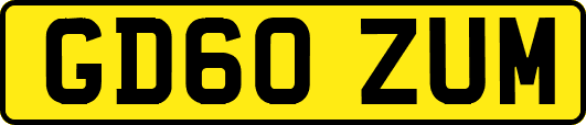 GD60ZUM