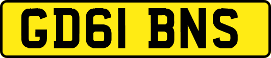 GD61BNS