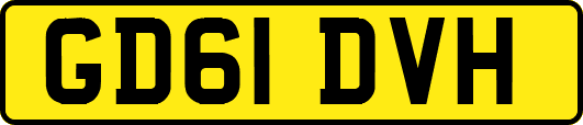 GD61DVH