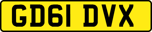 GD61DVX