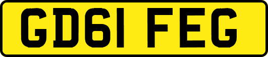GD61FEG