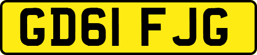 GD61FJG