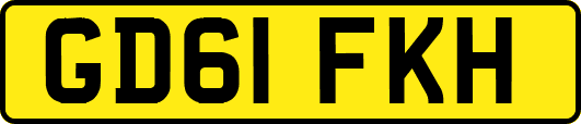 GD61FKH