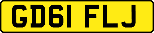 GD61FLJ