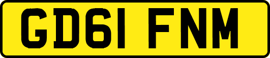 GD61FNM