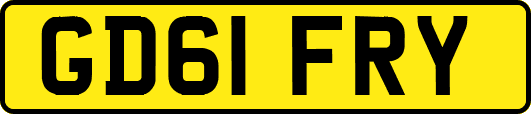 GD61FRY