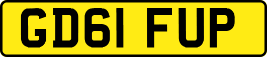 GD61FUP