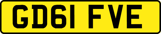 GD61FVE