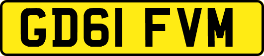 GD61FVM