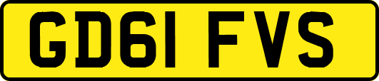 GD61FVS