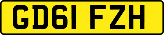 GD61FZH