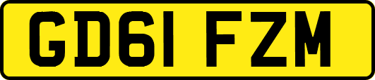 GD61FZM